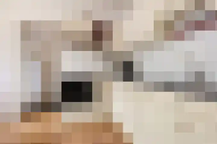 Enemastraat 24 Leek thumbnail 15