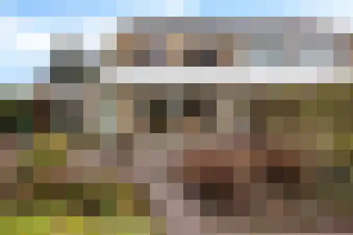 Enemastraat 24 Leek thumbnail 34