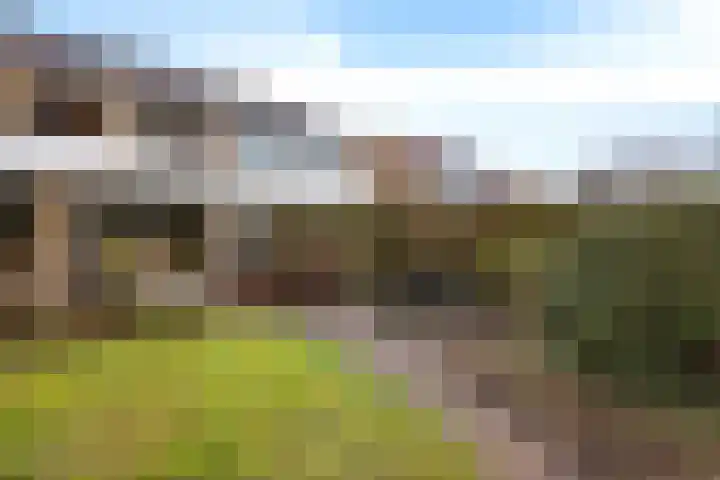 Enemastraat 24 Leek thumbnail 37