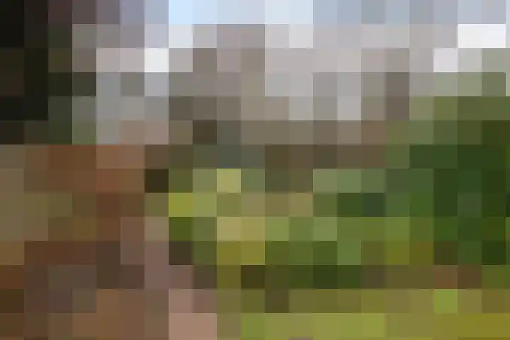 Enemastraat 24 Leek thumbnail 38