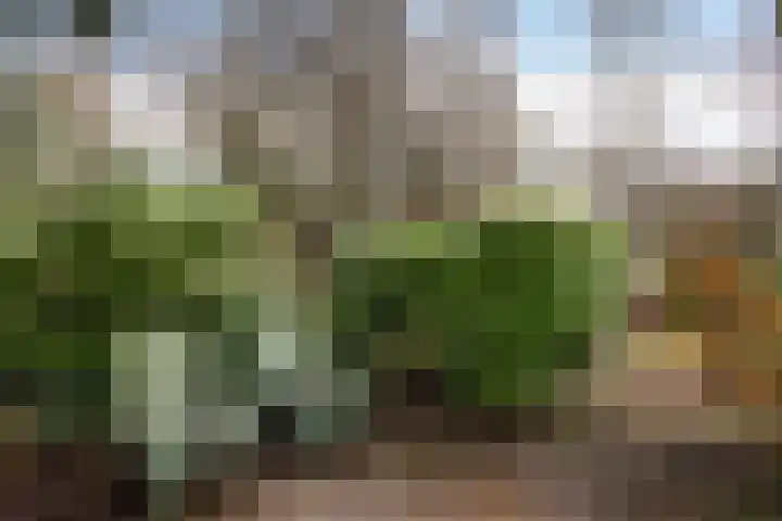 Enemastraat 24 Leek thumbnail 39