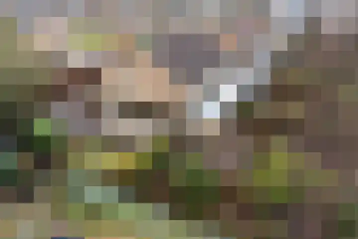 Enemastraat 24 Leek thumbnail 42