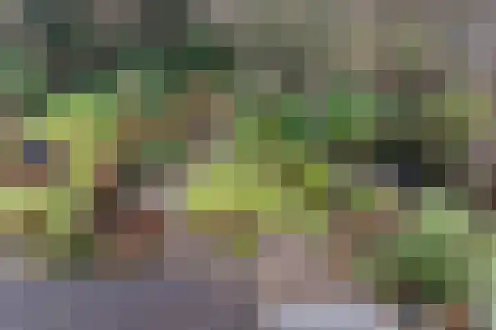Enemastraat 24 Leek thumbnail 44