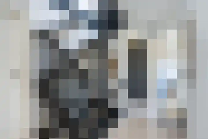 Engberserf 32 Dalfsen thumbnail 19