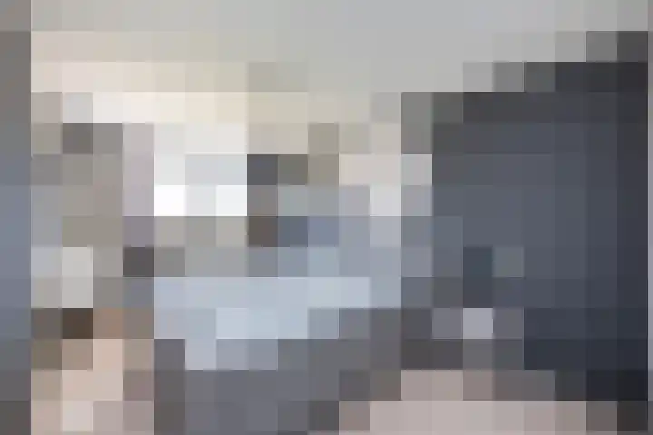 Engberserf 32 Dalfsen thumbnail 22