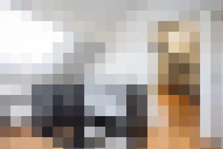 Engberserf 32 Dalfsen thumbnail 32