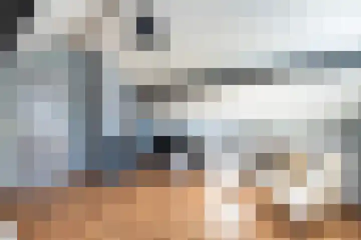 Engberserf 32 Dalfsen thumbnail 34