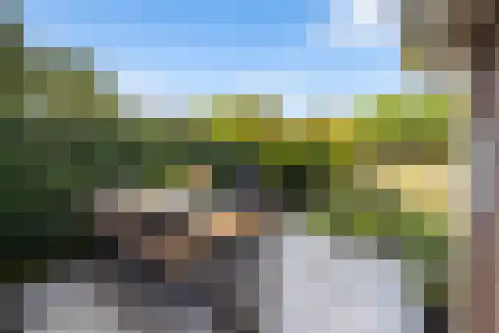 Engberserf 32 Dalfsen thumbnail 38