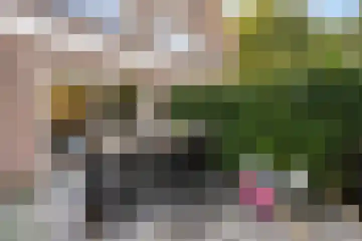 Engberserf 32 Dalfsen thumbnail 39