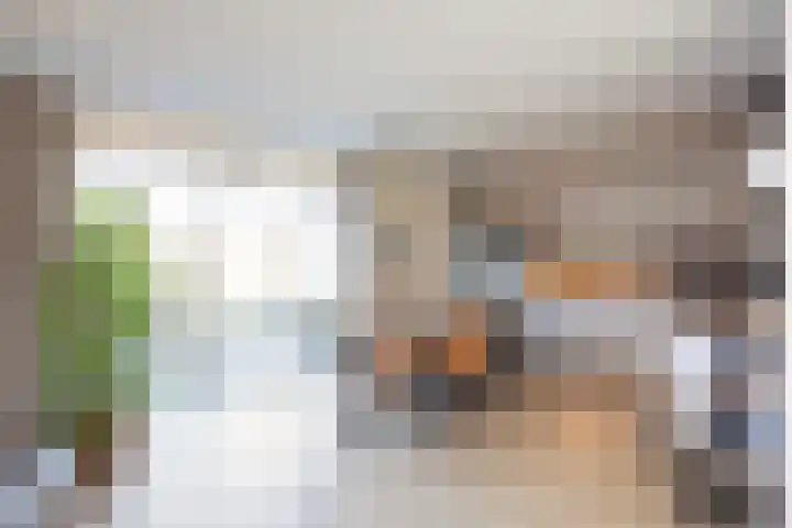 Engberserf 32 Dalfsen thumbnail 4
