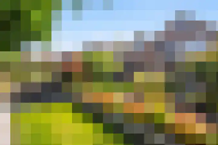 Engberserf 32 Dalfsen thumbnail 40
