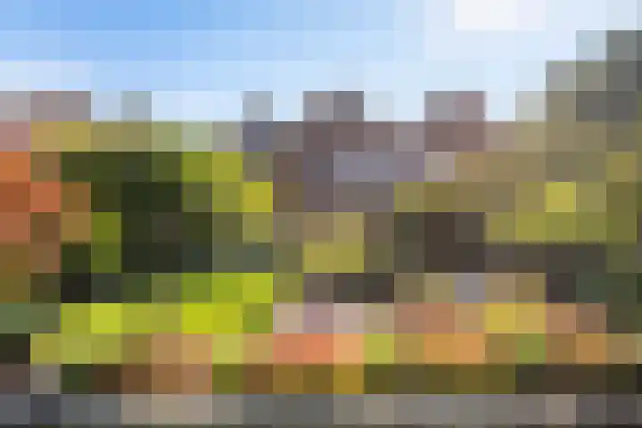 Engberserf 32 Dalfsen thumbnail 41