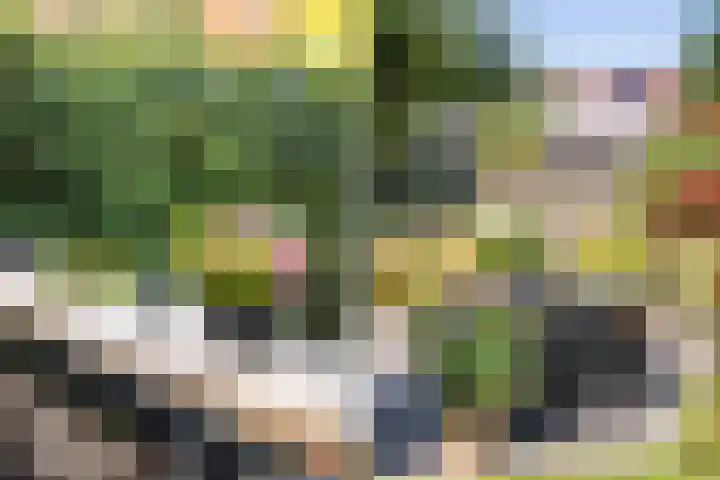 Engberserf 32 Dalfsen thumbnail 42