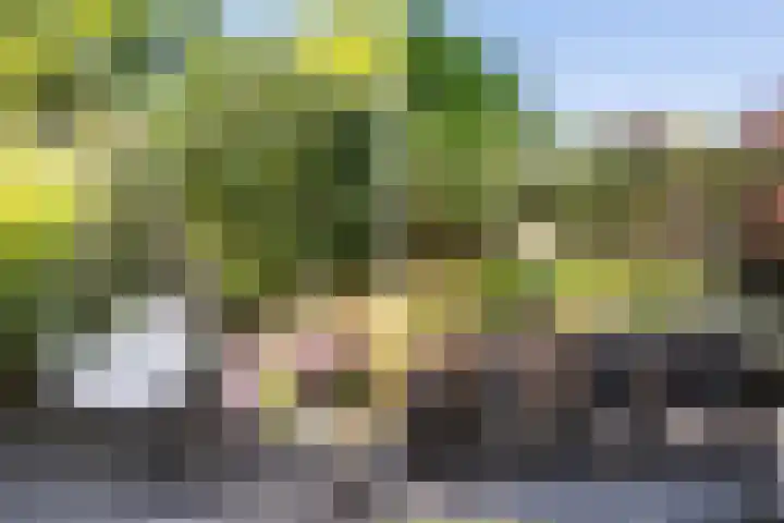 Engberserf 32 Dalfsen thumbnail 43