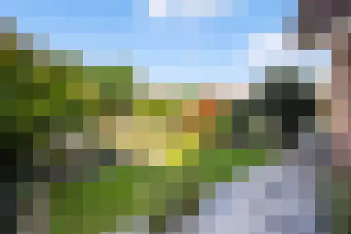 Engberserf 32 Dalfsen thumbnail 44