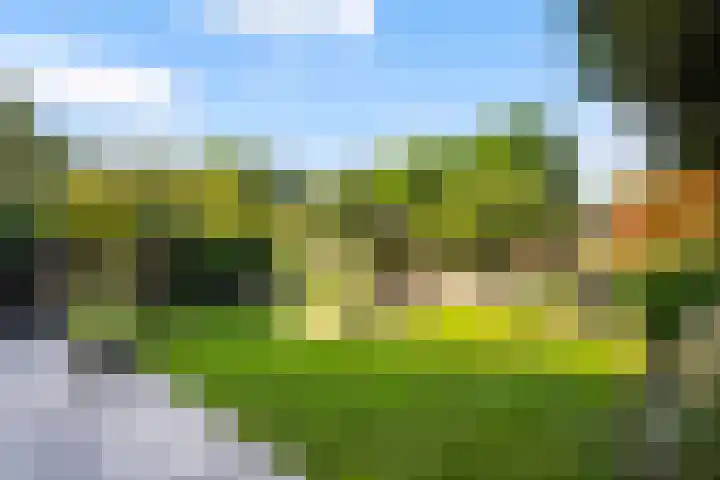 Engberserf 32 Dalfsen thumbnail 46