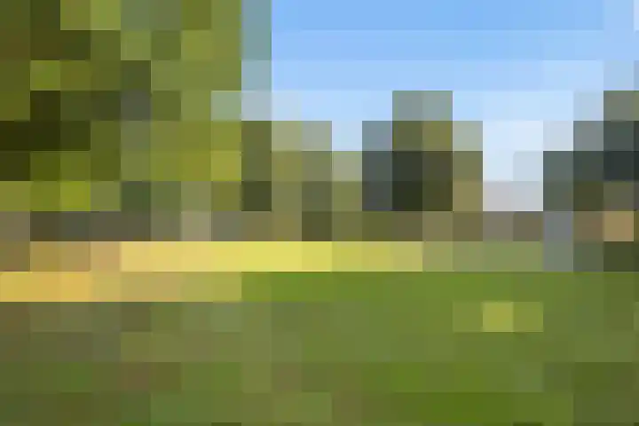 Engberserf 32 Dalfsen thumbnail 47
