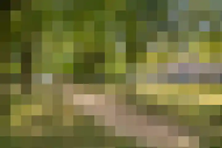 Engberserf 32 Dalfsen thumbnail 48