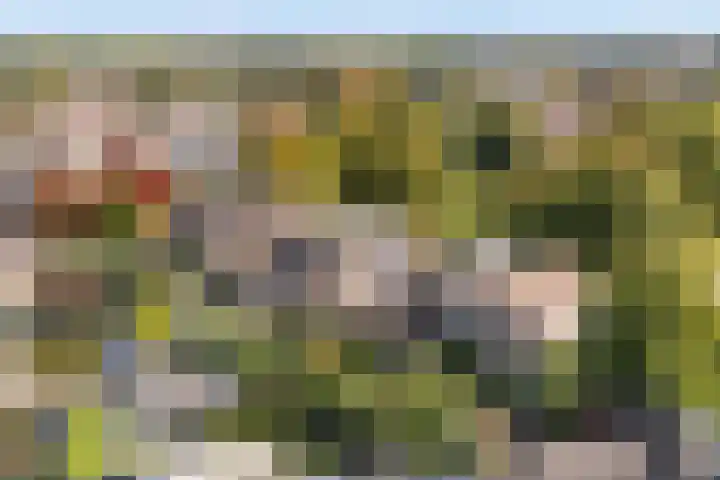 Engberserf 32 Dalfsen thumbnail 49
