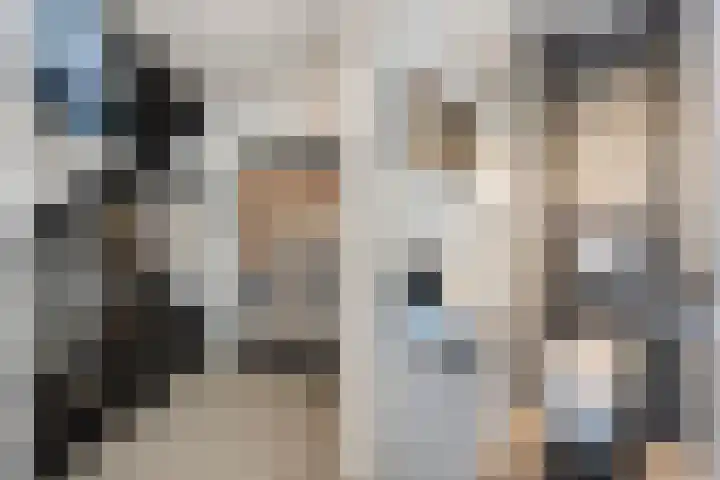 Engberserf 32 Dalfsen thumbnail 5