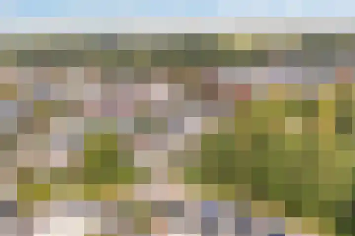 Engberserf 32 Dalfsen thumbnail 50