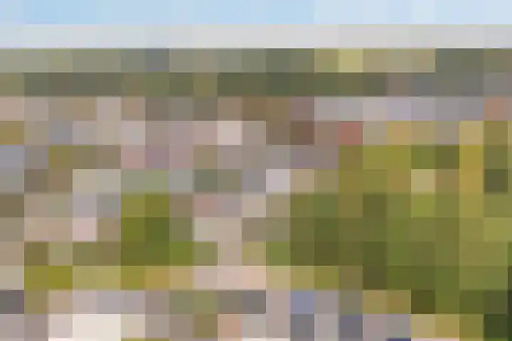 Engberserf 32 Dalfsen thumbnail 51