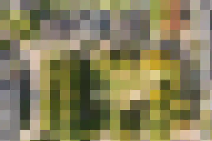 Engberserf 32 Dalfsen thumbnail 52