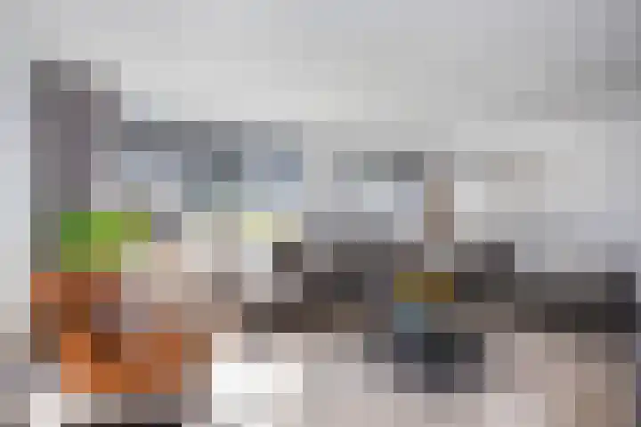 Engberserf 32 Dalfsen thumbnail 7