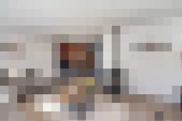 Engberserf 32 Dalfsen thumbnail 8
