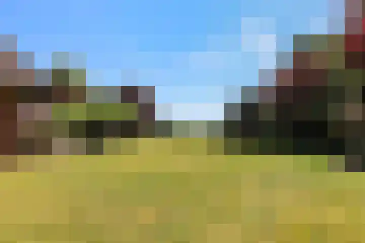 Engeland 33 Beekbergen thumbnail 25