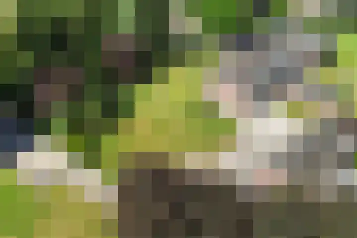 Engeland 33 Beekbergen thumbnail 46