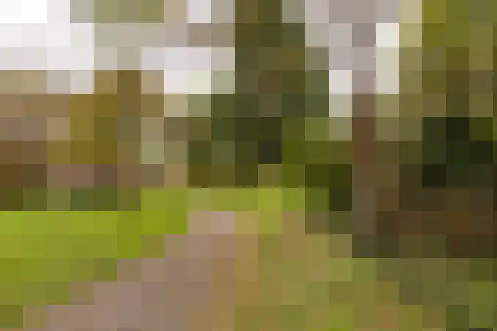 Engelandlaan 118 Haarlem thumbnail 19