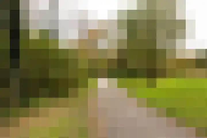 Engelandlaan 118 Haarlem thumbnail 20