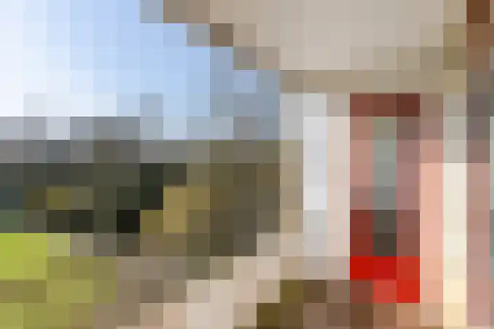 Engelandlaan 1224 Haarlem thumbnail 10