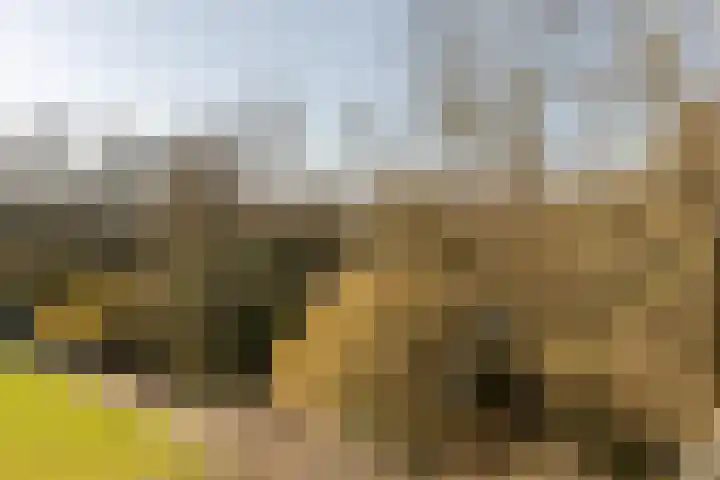 Engelandlaan 1224 Haarlem thumbnail 11