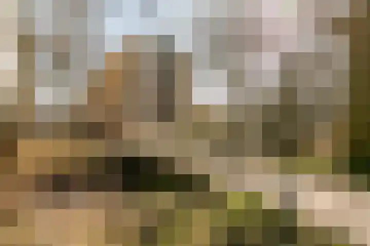 Engelandlaan 1224 Haarlem thumbnail 30