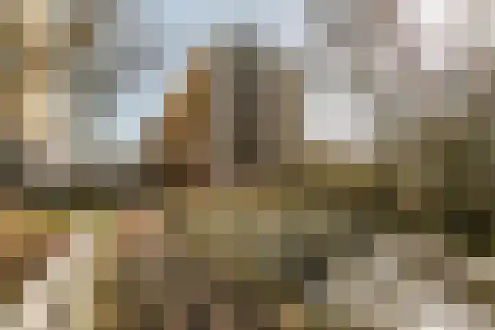 Engelandlaan 1224 Haarlem thumbnail 4