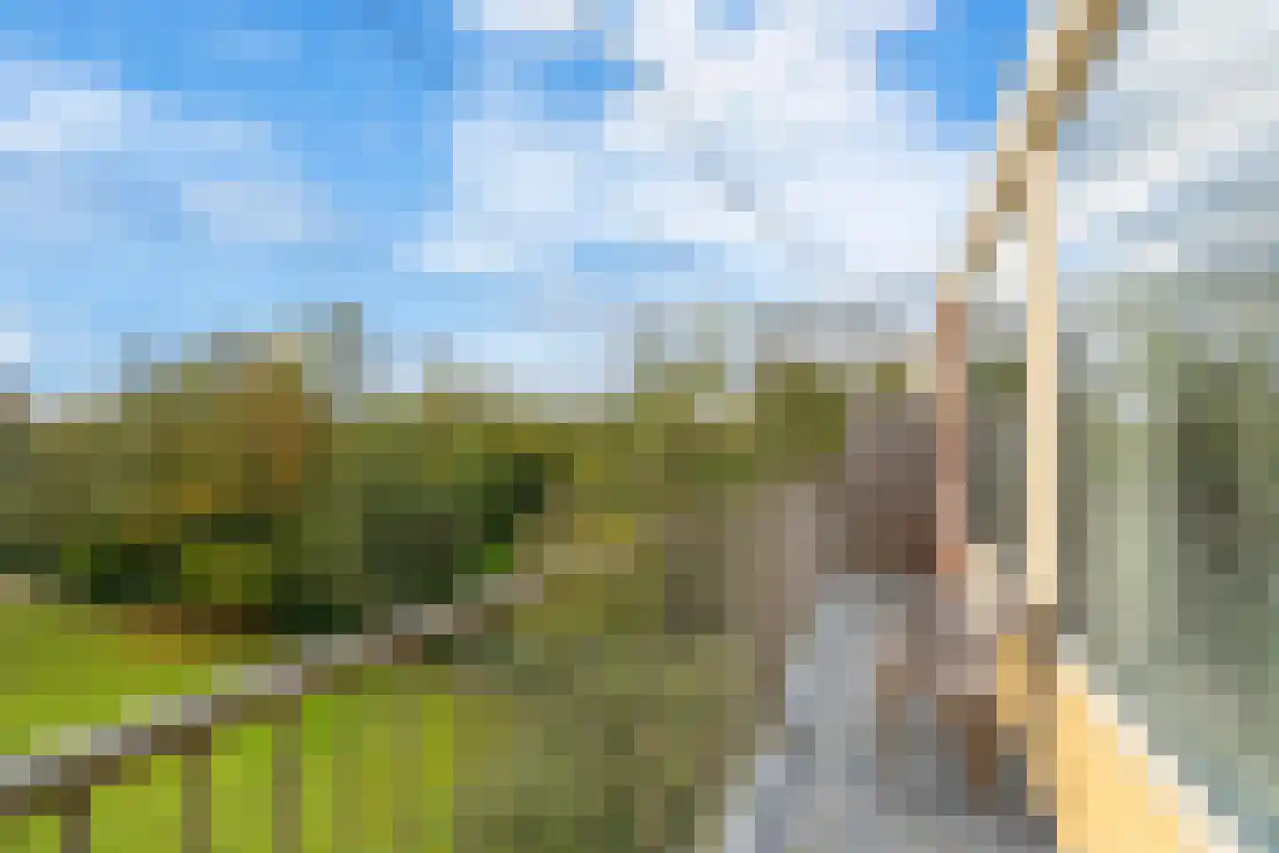 Engelandlaan 1236 Haarlem thumbnail 24