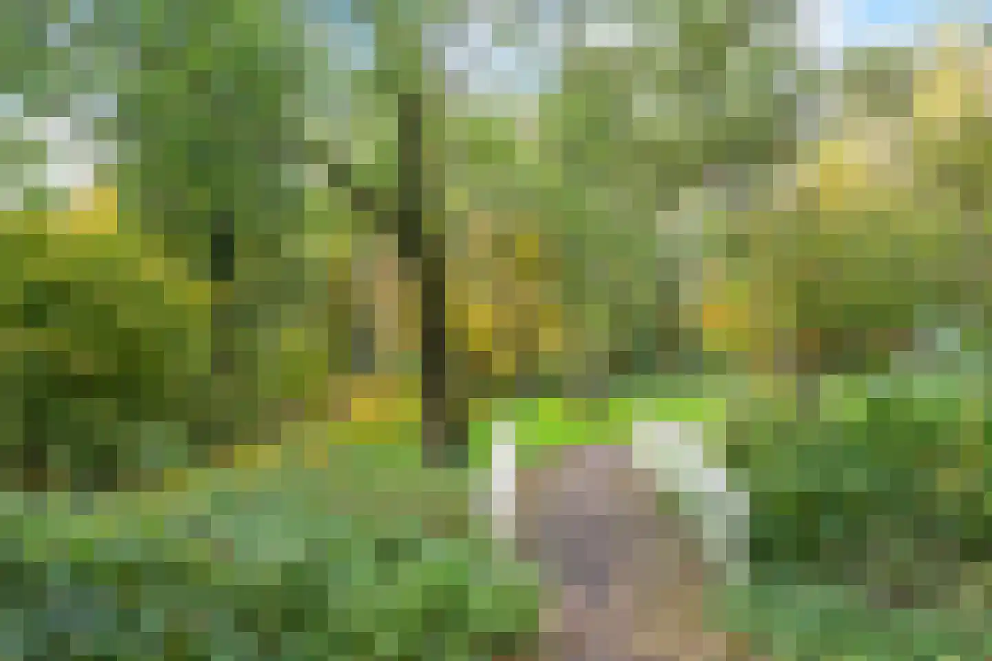 Engelandlaan 1236 Haarlem thumbnail 32