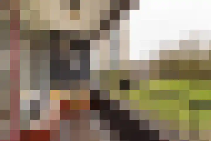 Engelandlaan 1248 Haarlem thumbnail 21