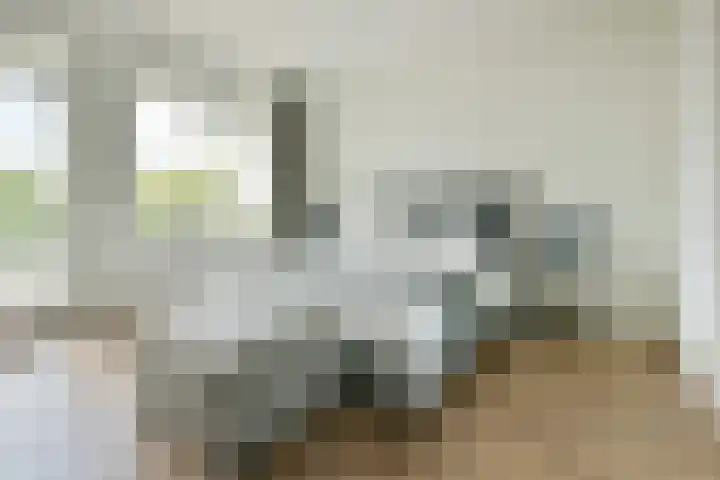 Engelandlaan 158 Haarlem thumbnail 11