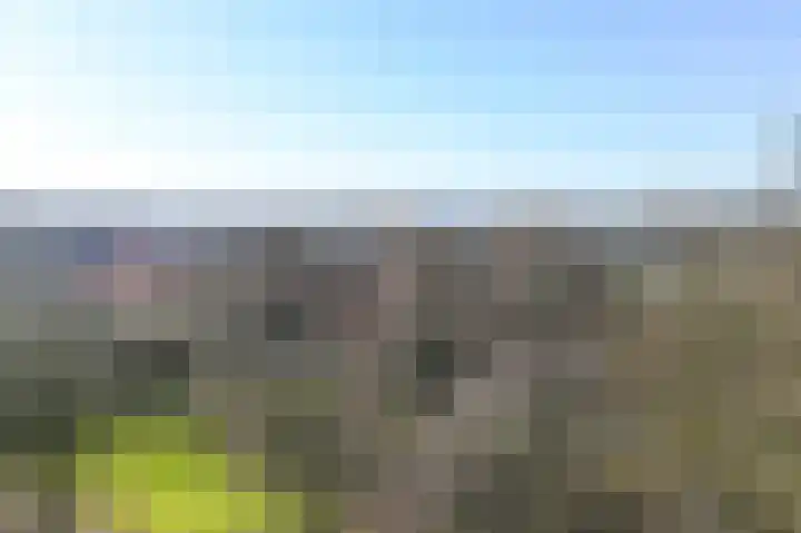 Engelandlaan 210 Haarlem thumbnail 21