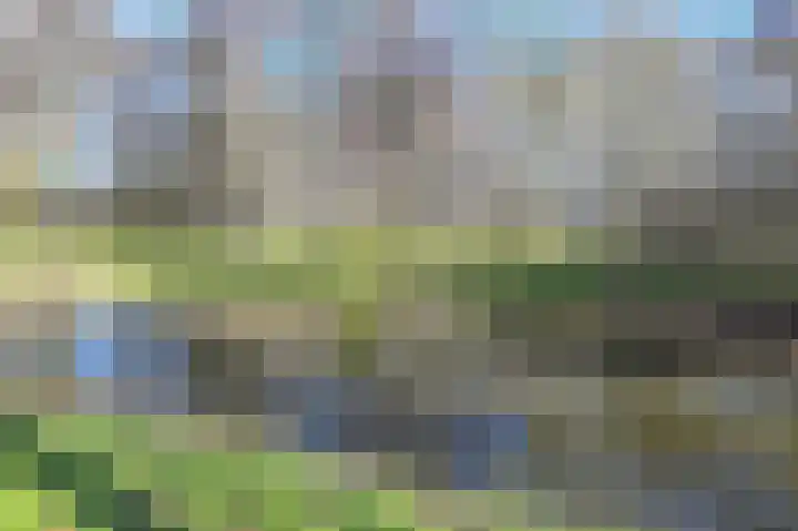 Engelandlaan 210 Haarlem thumbnail 34