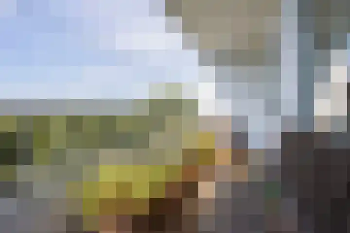 Engelandlaan 224 Haarlem thumbnail 6