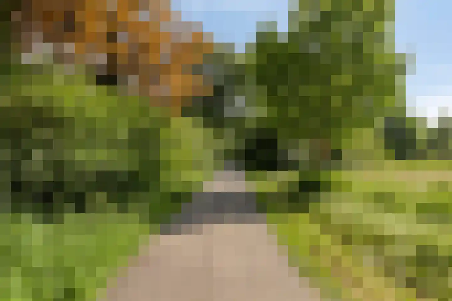 Engelandlaan 390 Haarlem thumbnail 23