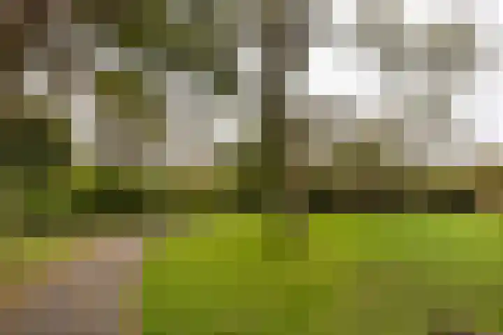 Engelandlaan 406 Haarlem thumbnail 23