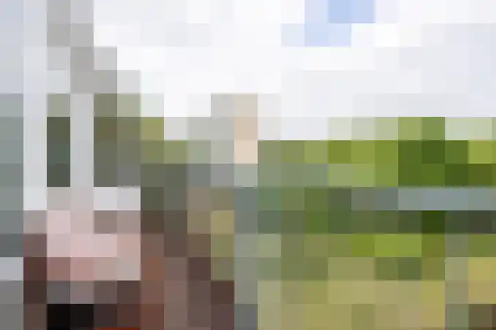 Engelandlaan 618 Haarlem thumbnail 5