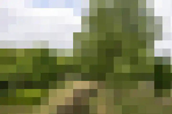 Engelandlaan 618 Haarlem thumbnail 6
