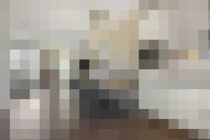 Engelbeemd 11 Herpen thumbnail 10