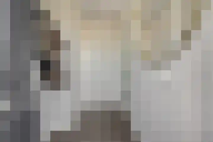 Engelbeemd 11 Herpen thumbnail 15